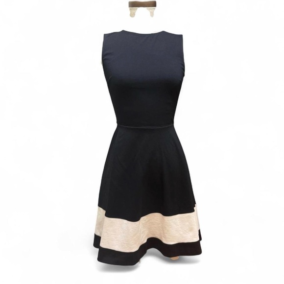 love...ady Dresses & Skirts - Black and Ivory color block stripe Sleeveless Fit-and-Flare Dress